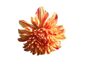 Wundersch&ouml;n