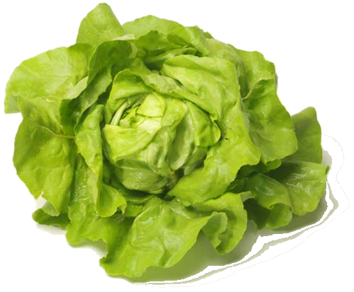 Erntefrisch 